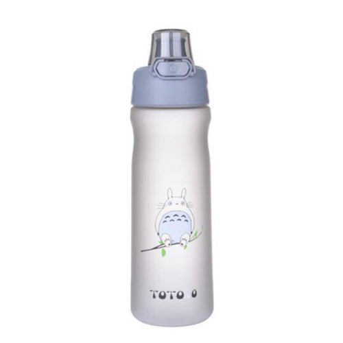 Eco-Friendly Totoro Water Bottle