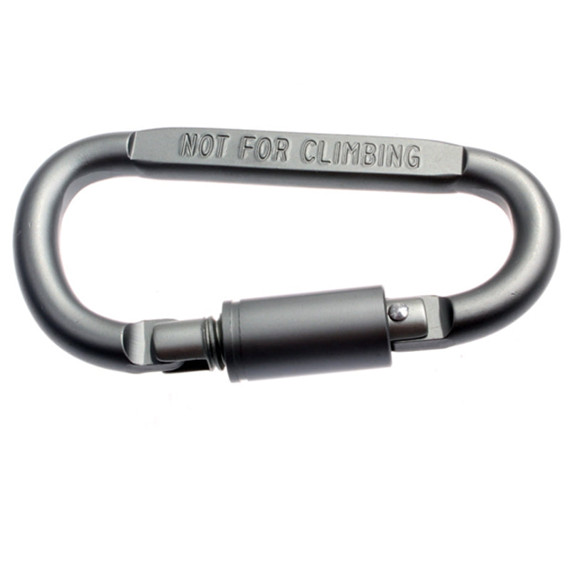 Carabiner Key Ring