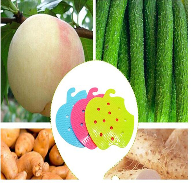 Multi-functional Fruit Vegetable Brush