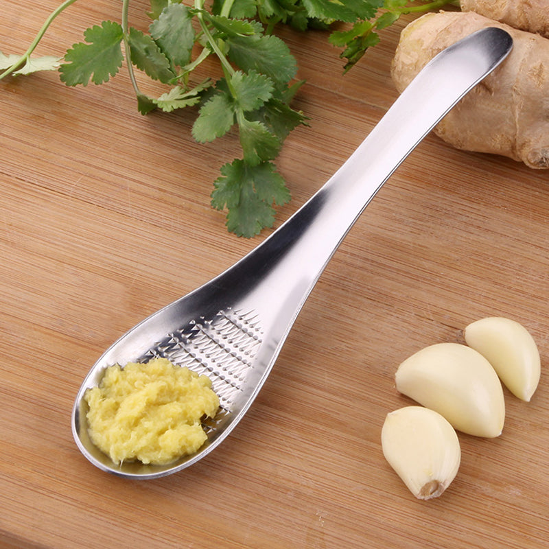 Stainless Steel Garlic Press/Ginger Grater