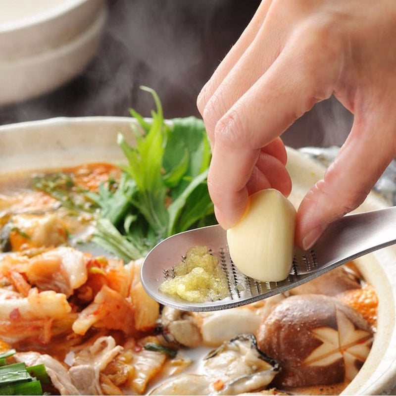 Stainless Steel Garlic Press/Ginger Grater