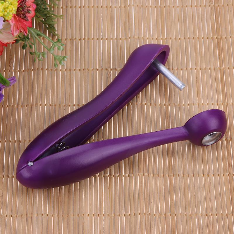 Stainless Steel Cherry Pitter