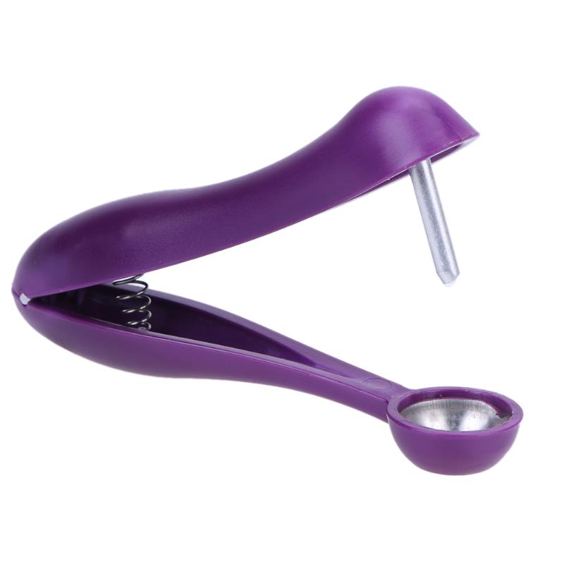 Stainless Steel Cherry Pitter