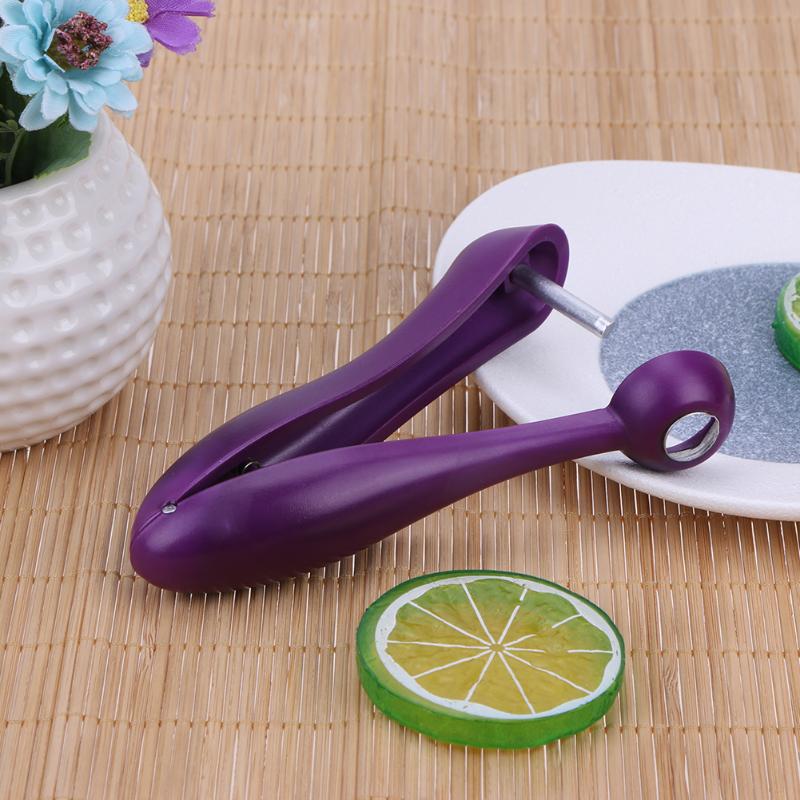 Stainless Steel Cherry Pitter