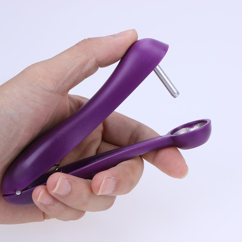 Stainless Steel Cherry Pitter