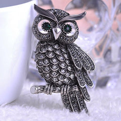 Gorgeous owl brooch