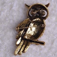 Gorgeous owl brooch