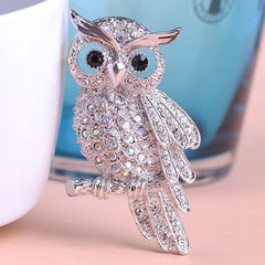 Gorgeous owl brooch