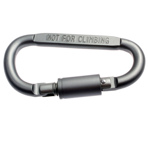 Carabiner Key Ring