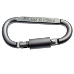 Carabiner Key Ring