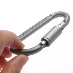 Carabiner Key Ring