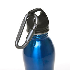Carabiner Key Ring