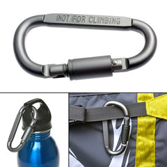 Carabiner Key Ring