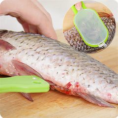 Stainless Steel Scales