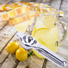 Stainless Steel Hand Press Lemon Squeezer