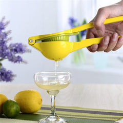 Professional Manual Citrus Juicer