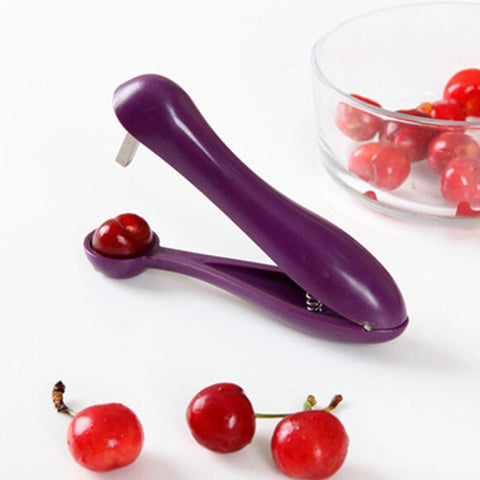Stainless Steel Cherry Pitter