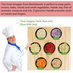 Stainless Steel Vegetable Chopper/Fruit Chopper